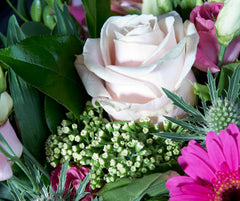 Pretty Pinks