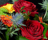 Colourful Flowers
